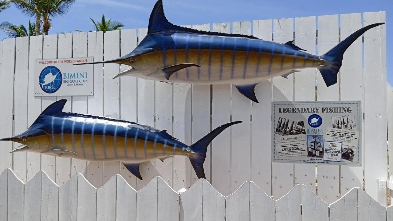 Bimini Big Game Club Resort & Marina アリス・タウン エクステリア 写真