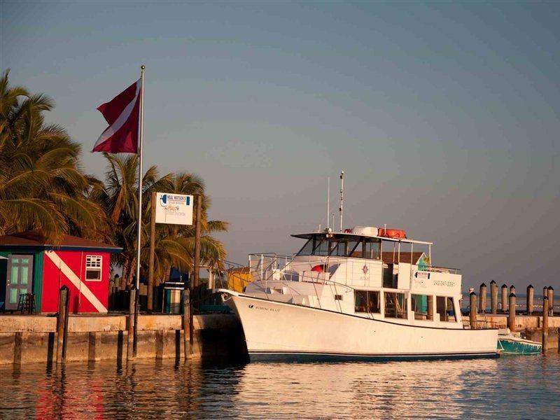 Bimini Big Game Club Resort & Marina アリス・タウン 設備 写真